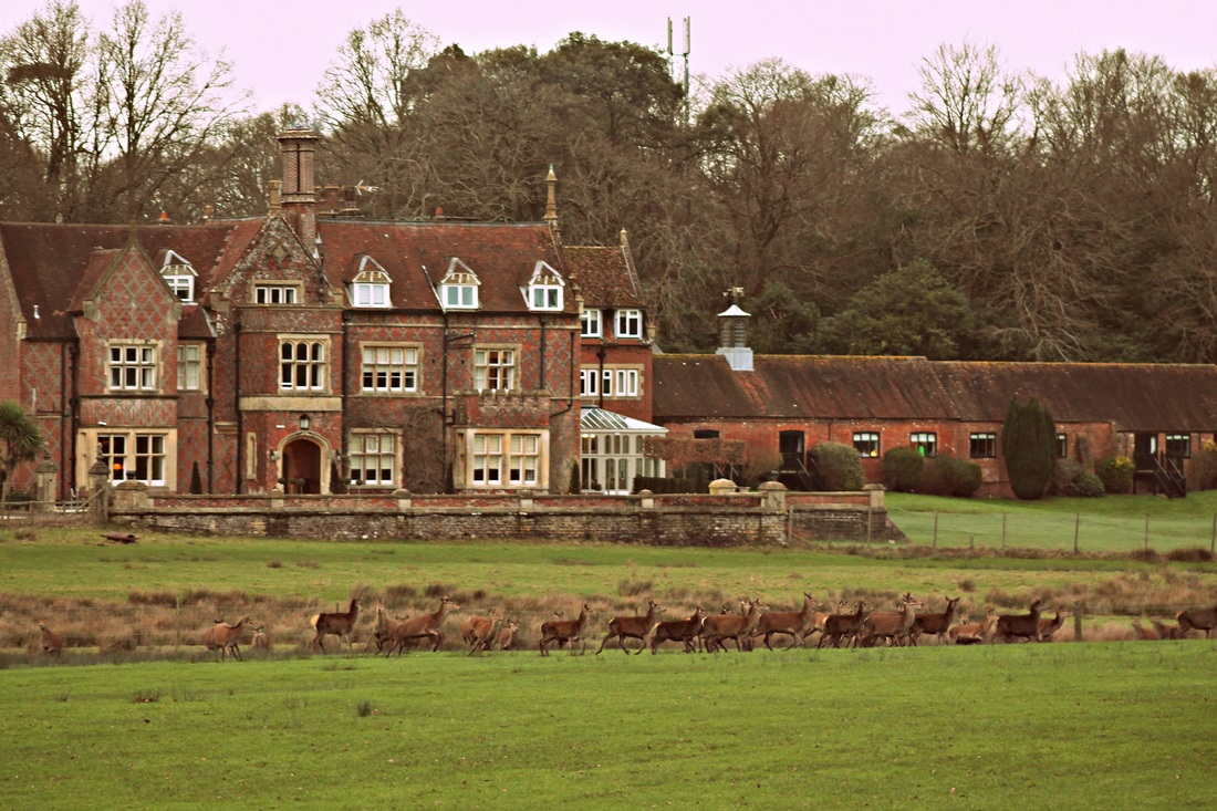 Burley Manor Hotel New Forest