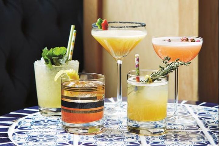 Cocktail book review: Bourbon Bartender: 50 Cocktails to Celebrate the American Spirit by Jane Danger, Alla Lapushchik