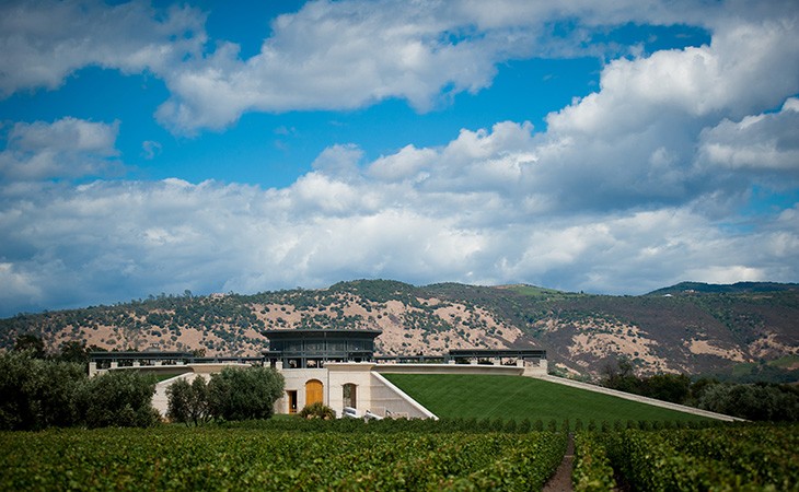 Opus One Vineyard Napa Valley California