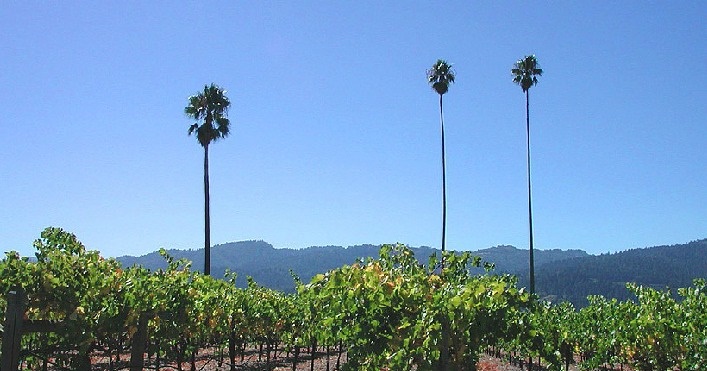 Sterling Vineyards Napa Valley California